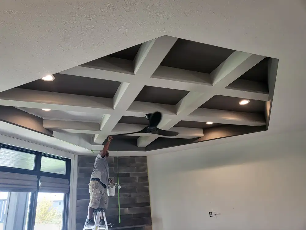 ceiling painter service